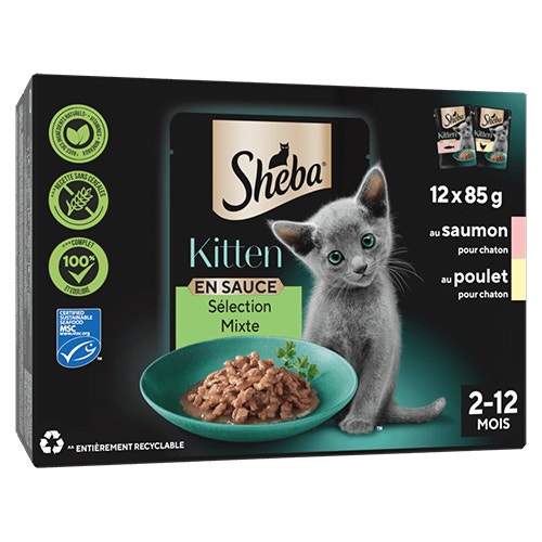 kitten product - Product