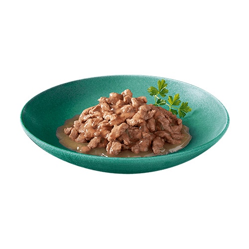 kitten plate
