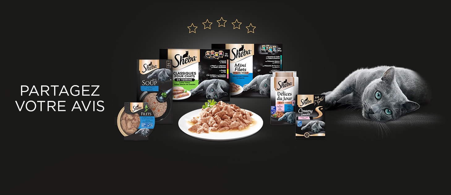 PARTAGEZ VOTRE AVIS hero