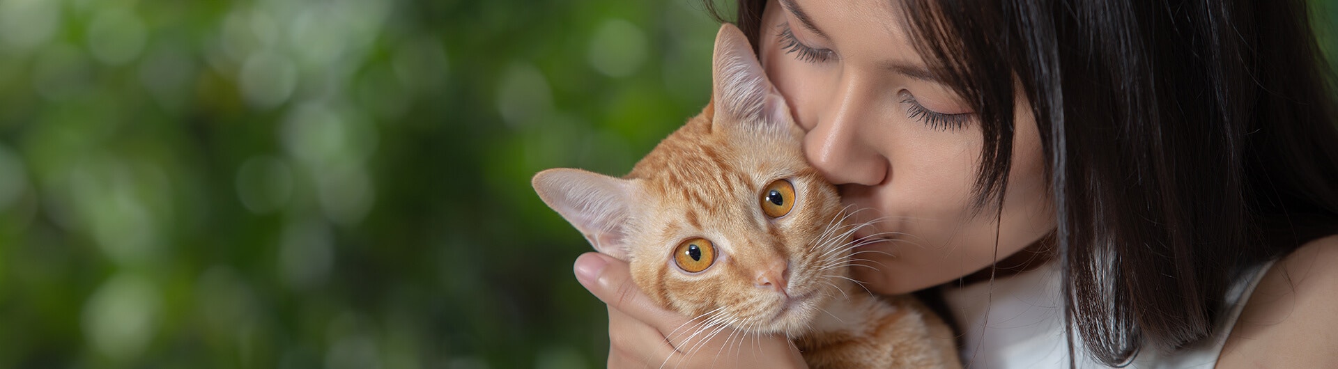 Une jeune femme embrasse un chat roux tigré sur la joue.