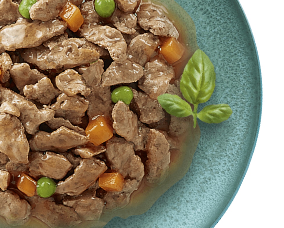 De la bonne nourriture, à tous les niveaux