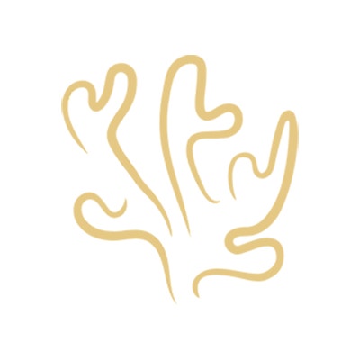 Restauration de récifs coralliens