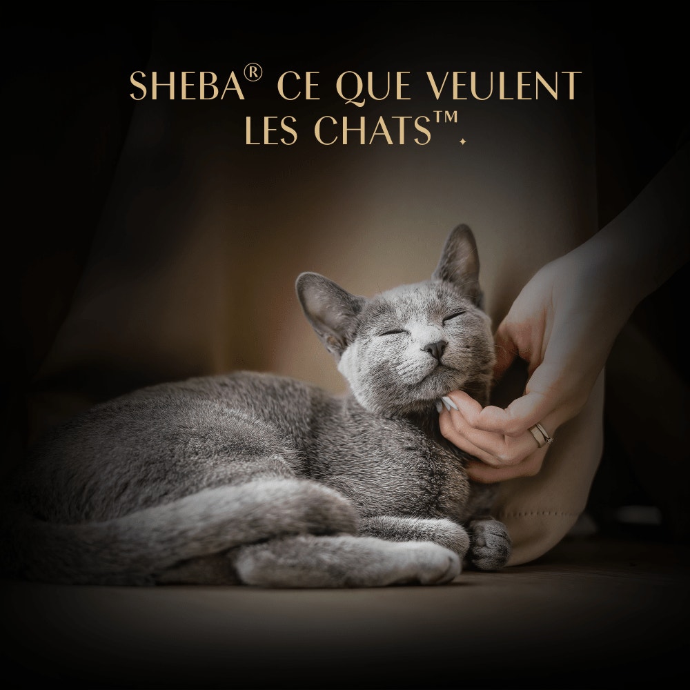 Soupe Sachets Fraîcheur Au Thon 4 x 40g - 6