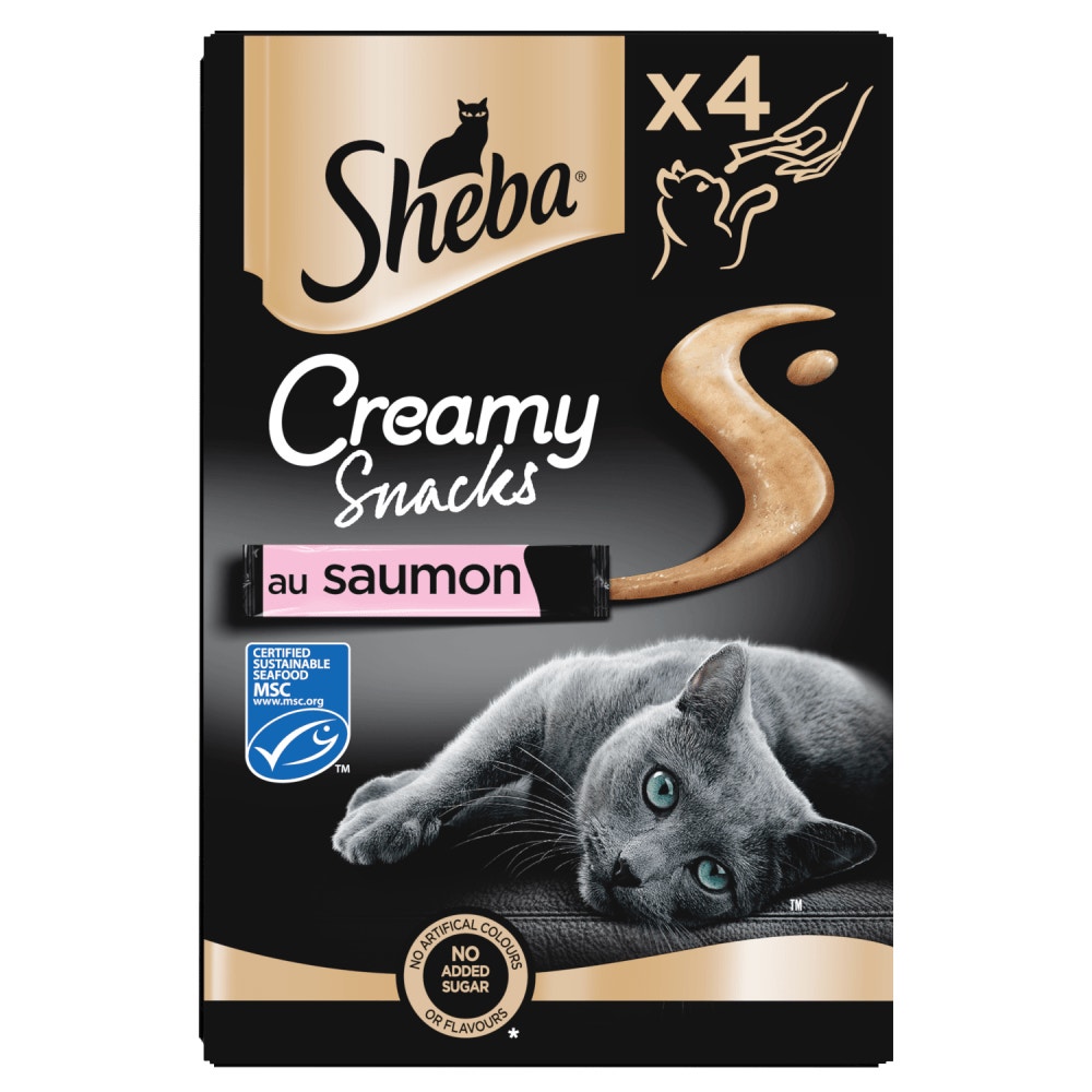 Saumon 4 x 12g - Creamy Snacks - 1