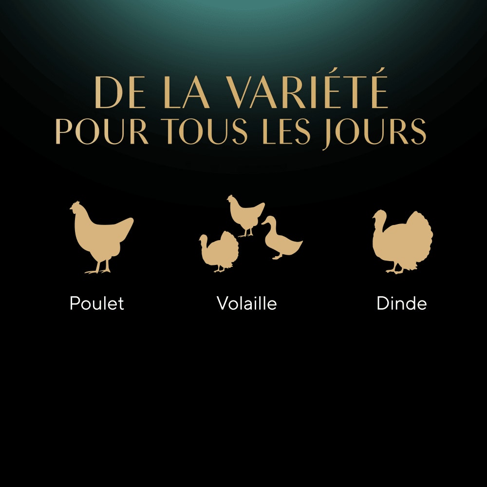 Delicatesse en gelée à la volaille 4 x 85g - 5