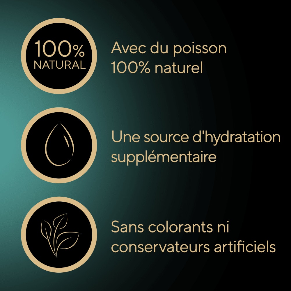 Soupe Sachets Fraîcheur Au Thon 4 x 40g - 4