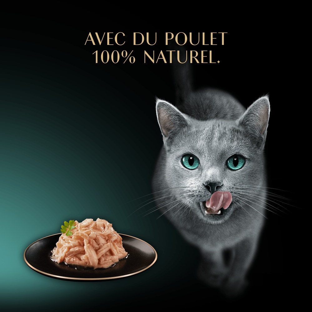 Poulet 1 x 60g - Filets - 2