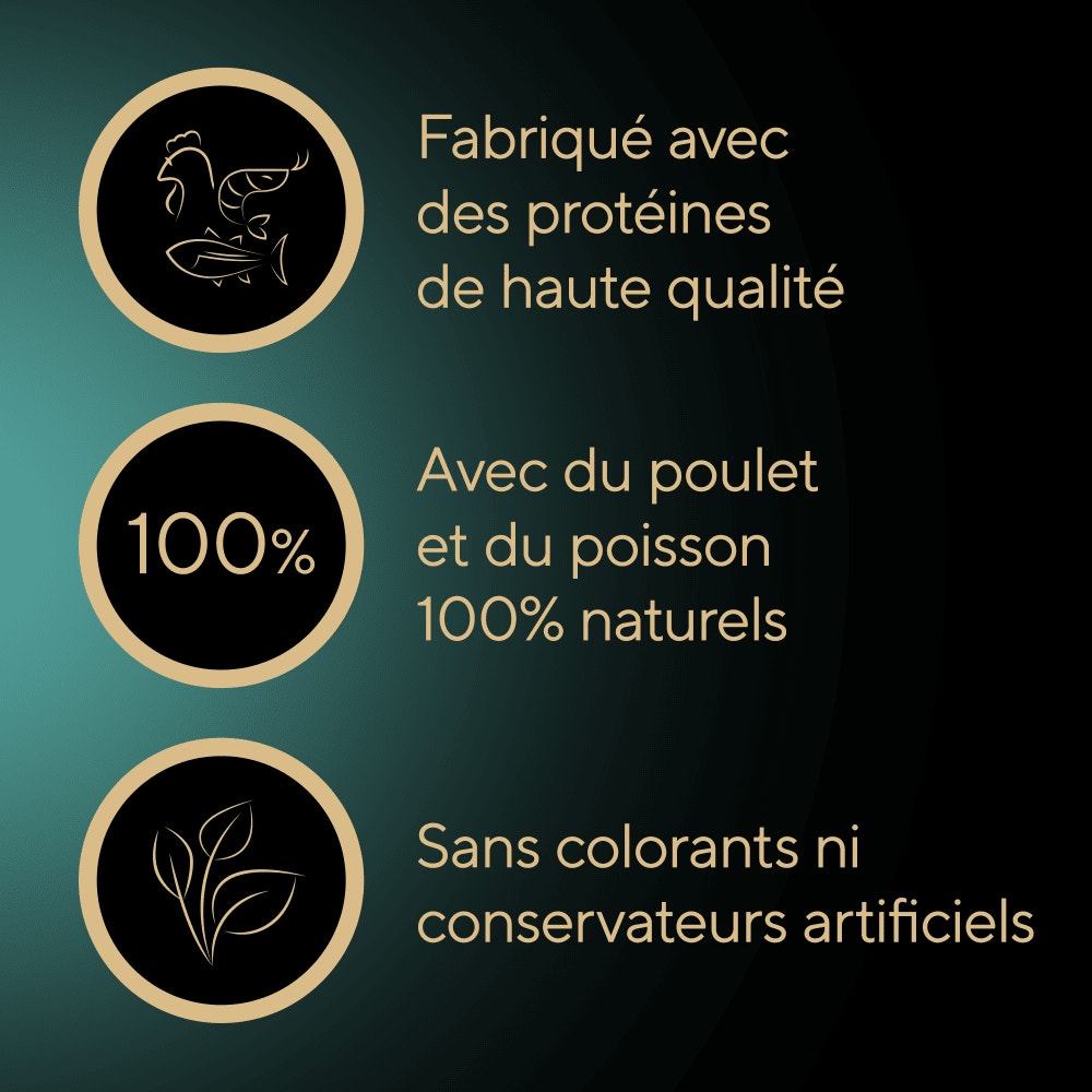 Poulet Aux Crevettes Et Aux Poissons De L'Océan 1 x 60g - Filets - 4