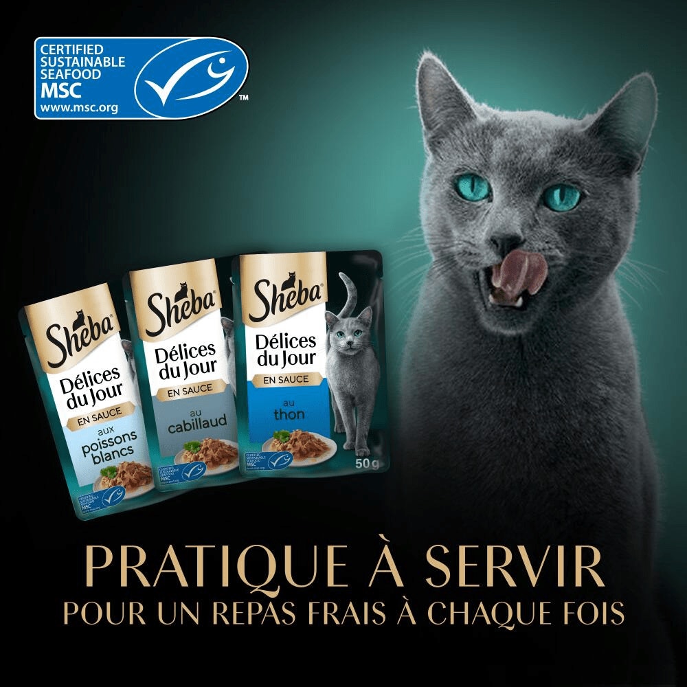 Sachets Fraîcheur Au Thon, Au Cabillaud Et Aux Poissons Blancs En Sauce 6 x 50g - Délices Du Jour - 4