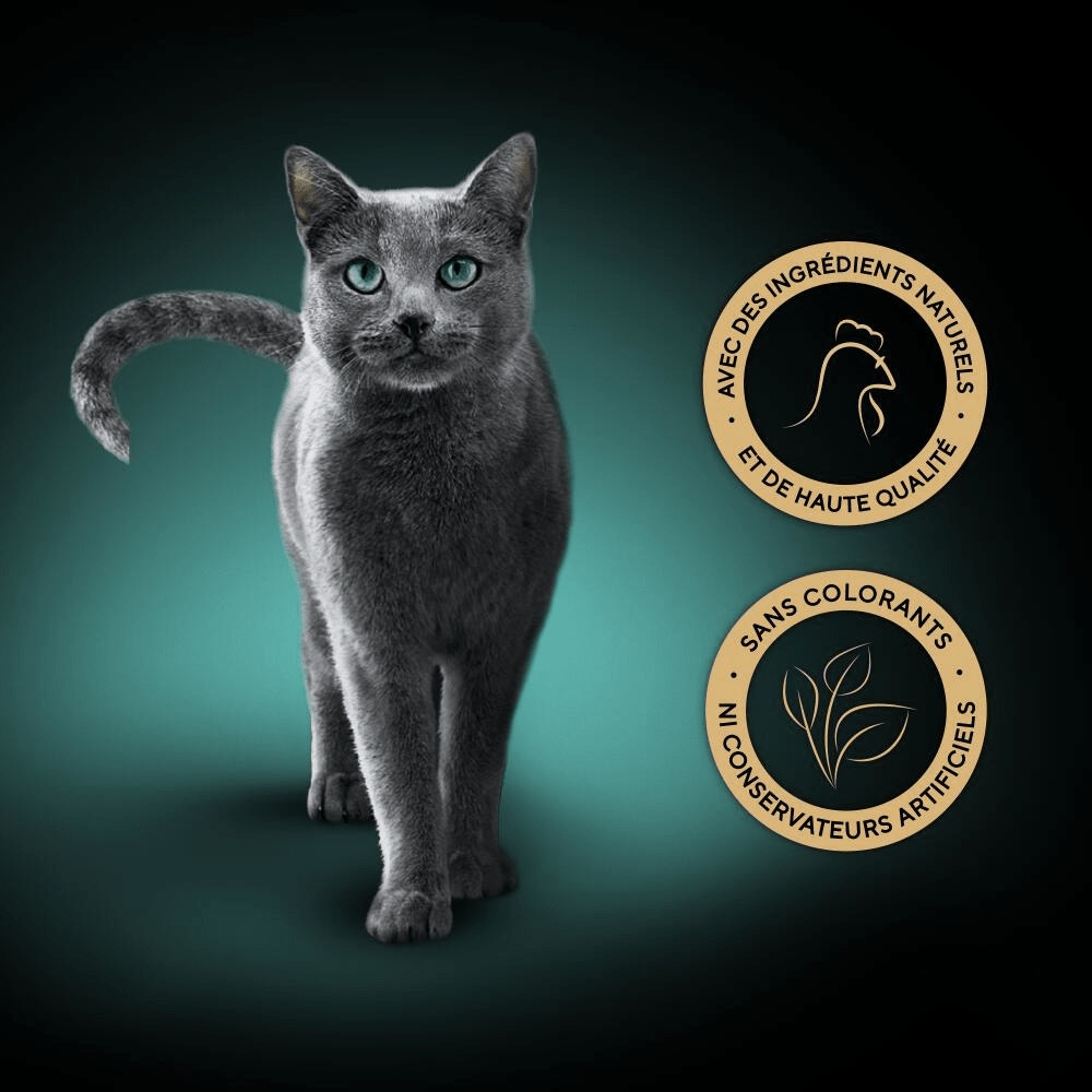 Poulet 1 x 60g - Filets - 5