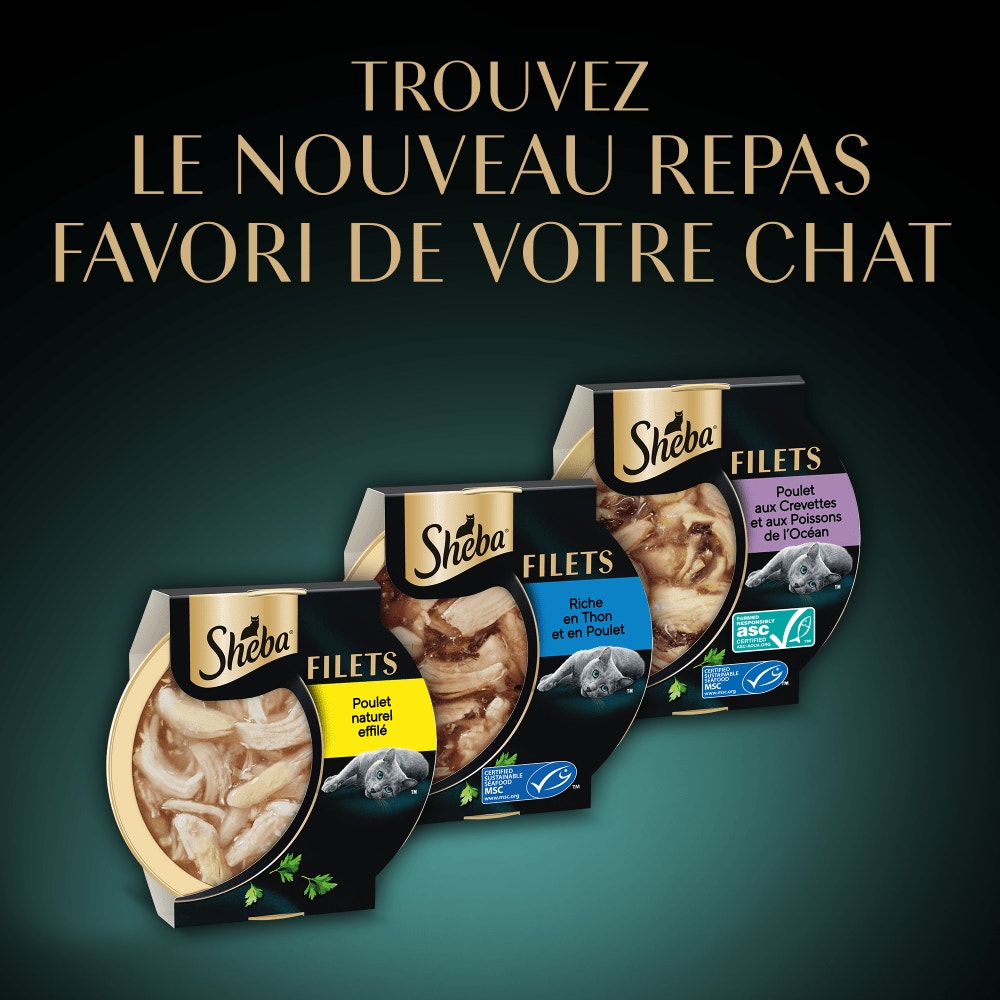 Multipack Filets au Poulet, Crevettes Saumon et Thon 6x60g - 5