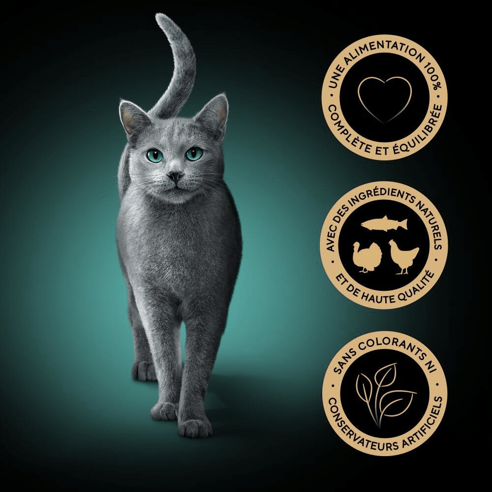 Terre & Mer En Sauce 6 x 50g - Délices Du Jour - 4