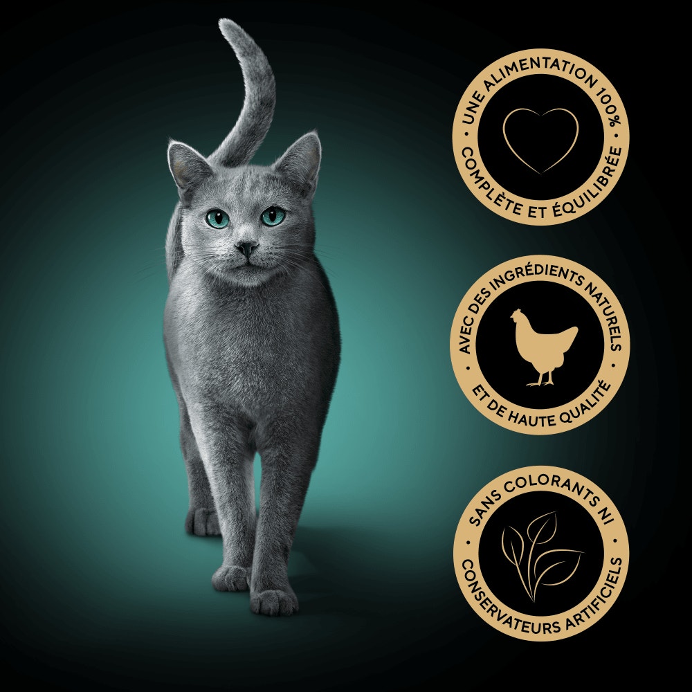 Poulet - PERFECT PORTIONS™ 6 x 37,5g - 4