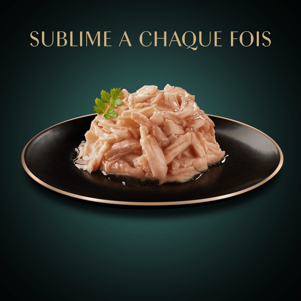 Multipack Filets au Thon, Poulet, Poissons de L'océan, Saumon et Volaille 6x60g - 3
