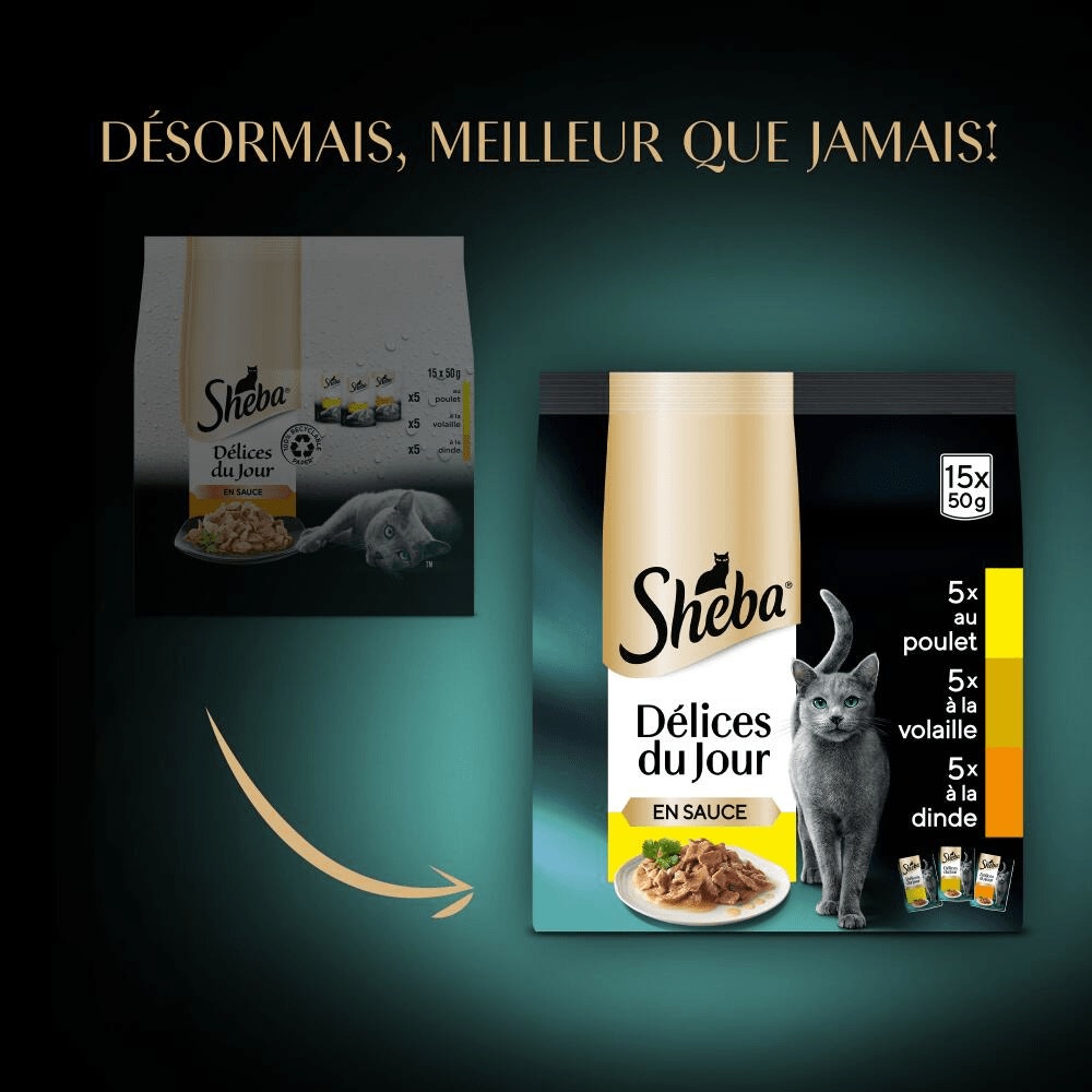 Volaille En Sauce 15 x 50g - Délices Du Jour - 2