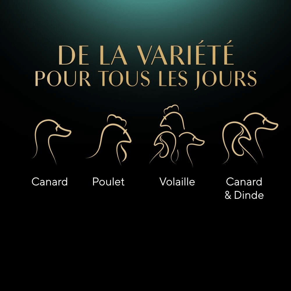 Sélection à la Volaille En Sauce 40 x 85g - Mini Filets - 4