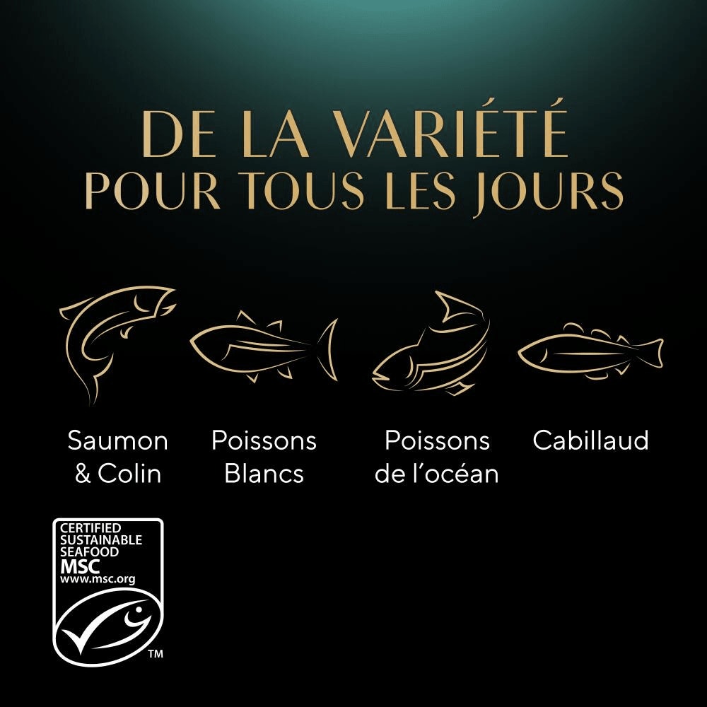 Sélection aux Poissons En Sauce 12 x 85g - Mini Filets - 4
