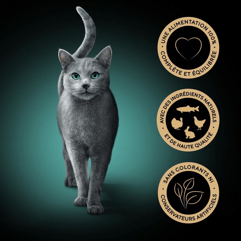 Sélection Mixte En Sauce 12 x 85g - Sauce Collection - 4