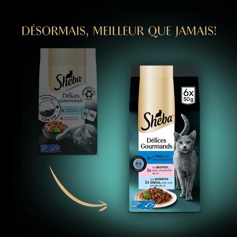 Sachets Fraîcheur Taste Of Tokyo 6 x 50g - Délices Gourmands - 2