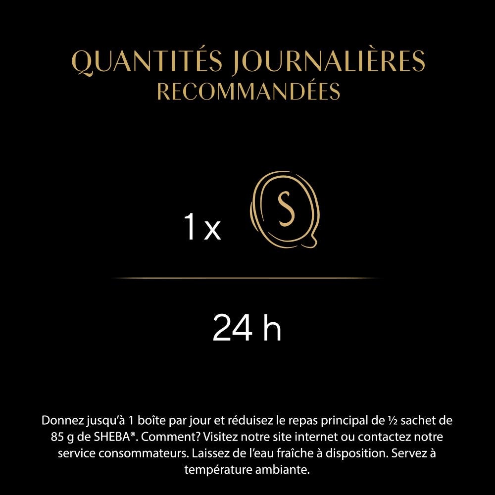 Poulet Et Au Thon 1 x 60g - Filets - 3