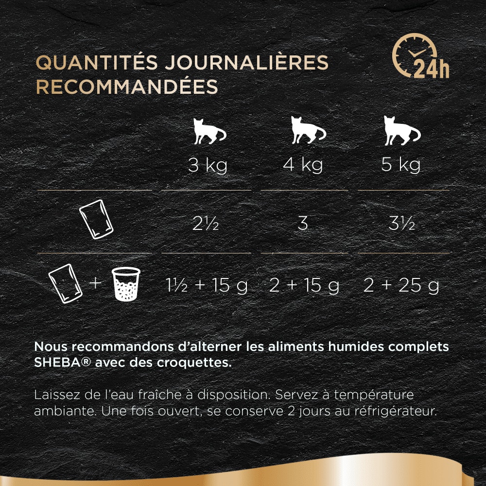 Poissons En Sauce 12 x 85g - Les Créations - 4