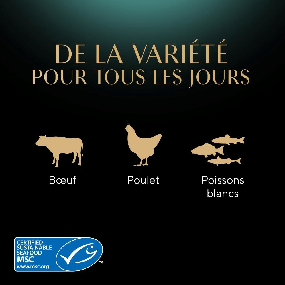 Sachets Fraîcheur Taste Of Paris 6 x 50g - Délices Gourmands - 3