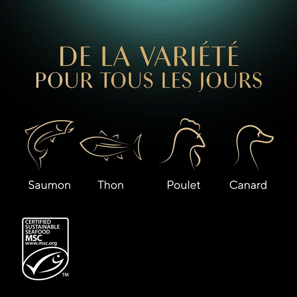 Sauce Lover Sélection Mixte En Sauce 12 x 85g - Sauce Collection - 4