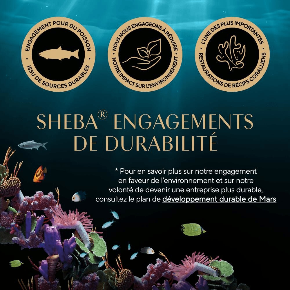 Poissons En Gelée 6 x 50g - Délices Du Jour - 7