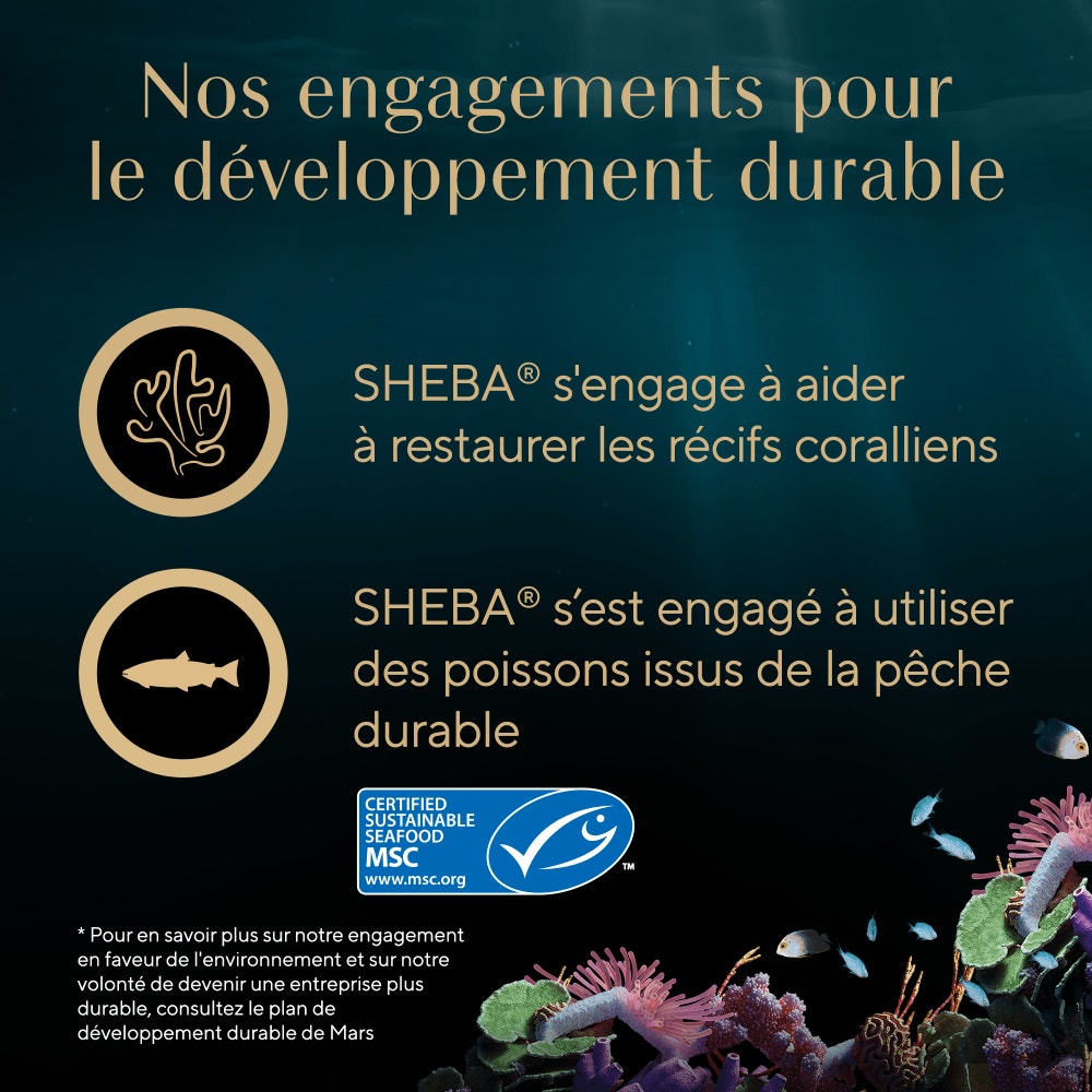 Poulet 1 x 60g - Filets - 6