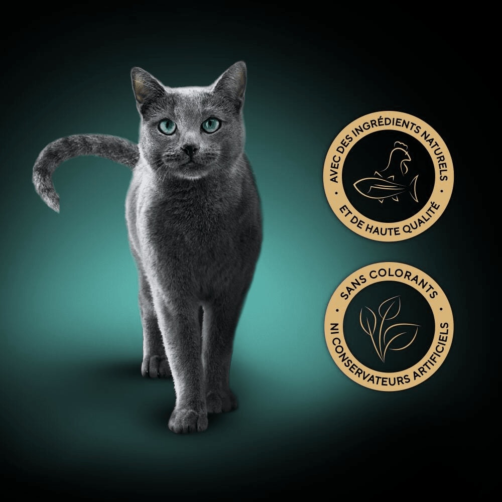 Poulet Et Au Thon 1 x 60g - Filets - 5