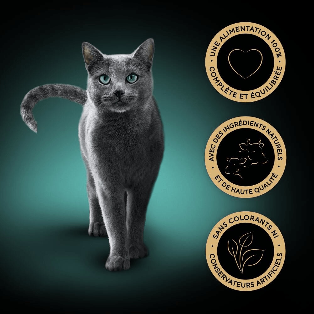 Sélection du boucher En Terrine 12 x 85g - Classiques Pour Chats - 5