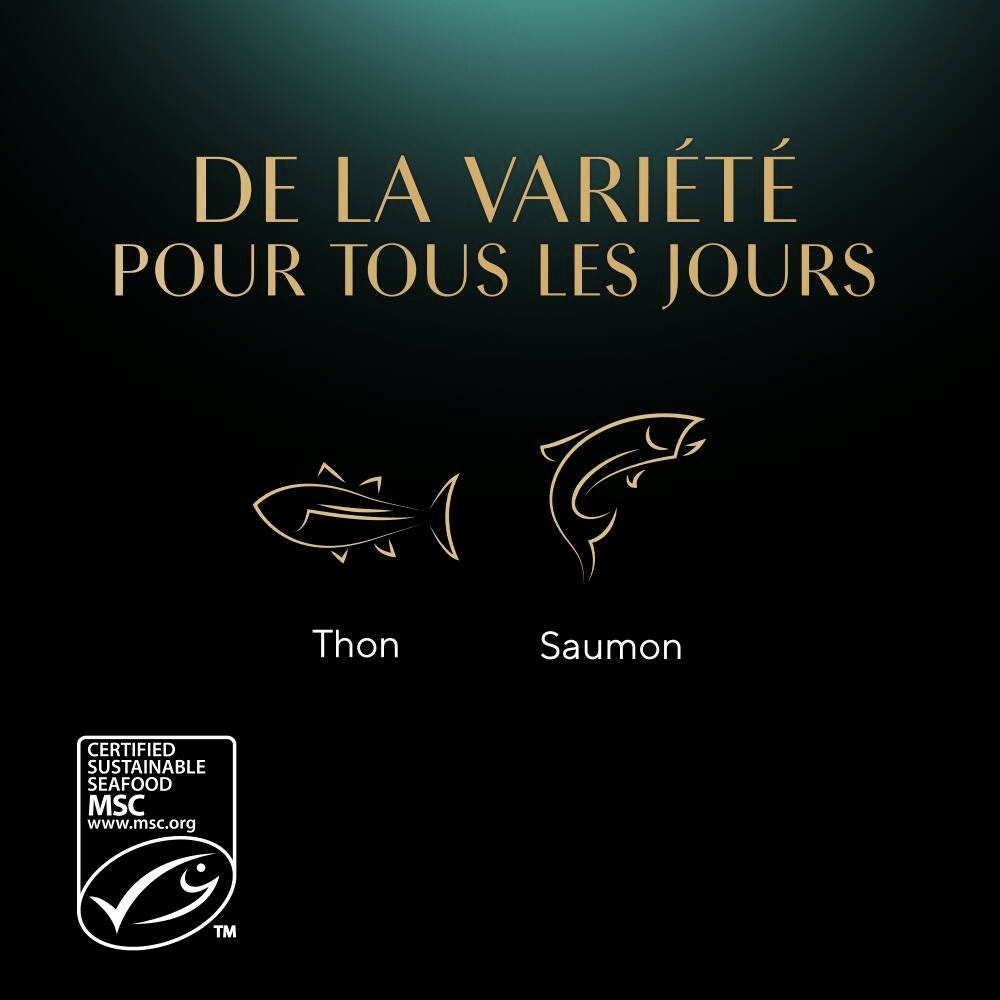 Poissons Au Saumon Et Au Thon En Sauce 6 x 50g - Délices Du Jour - 4