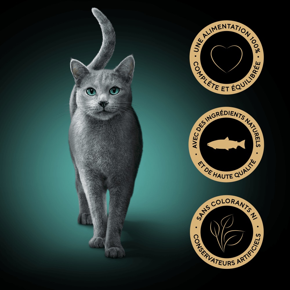 Saumon MSC - PERFECT PORTIONS™ 6 x 37,5g - 4