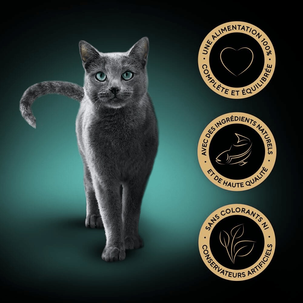 Sélection aux Poissons En Terrine 12 x 85g - Classiques Pour Chats - 5