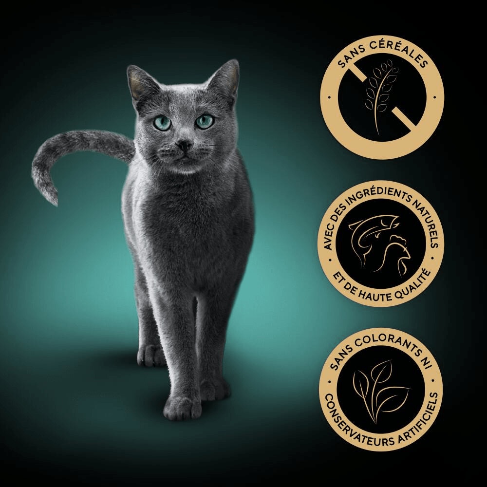 Sélection Mixte En Sauce 8 x 85g - Nature's Collection - 5