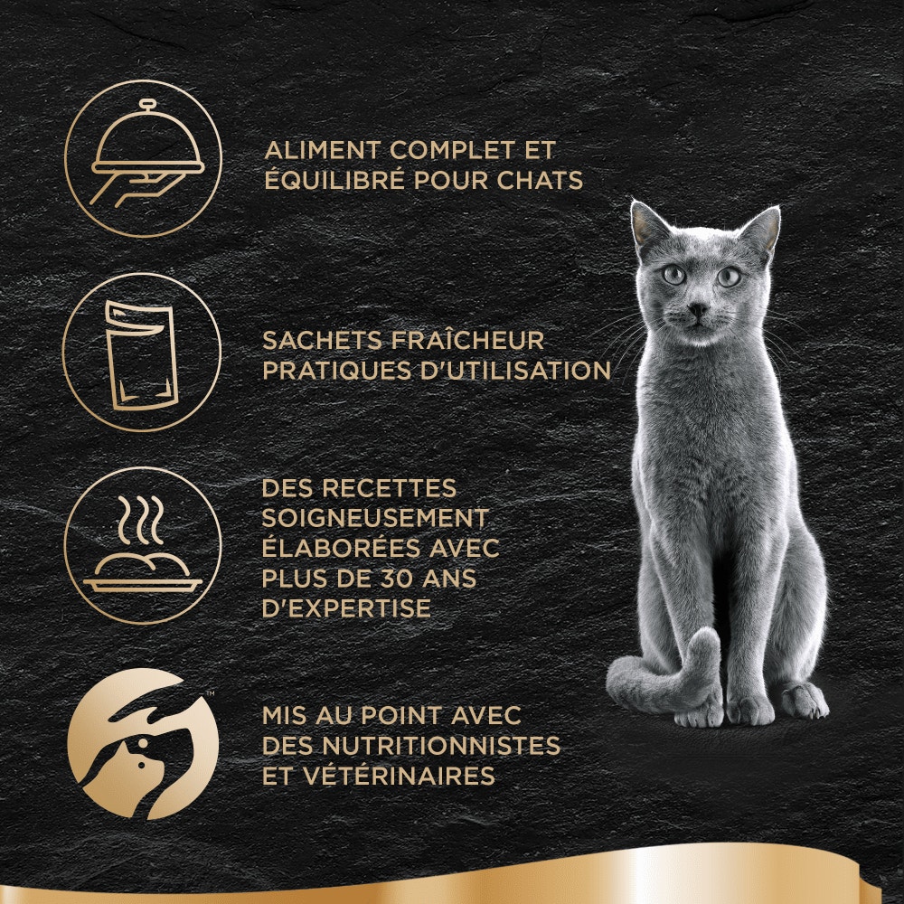 Volaille En Sauce 12 x 85g - Les Créations - 3