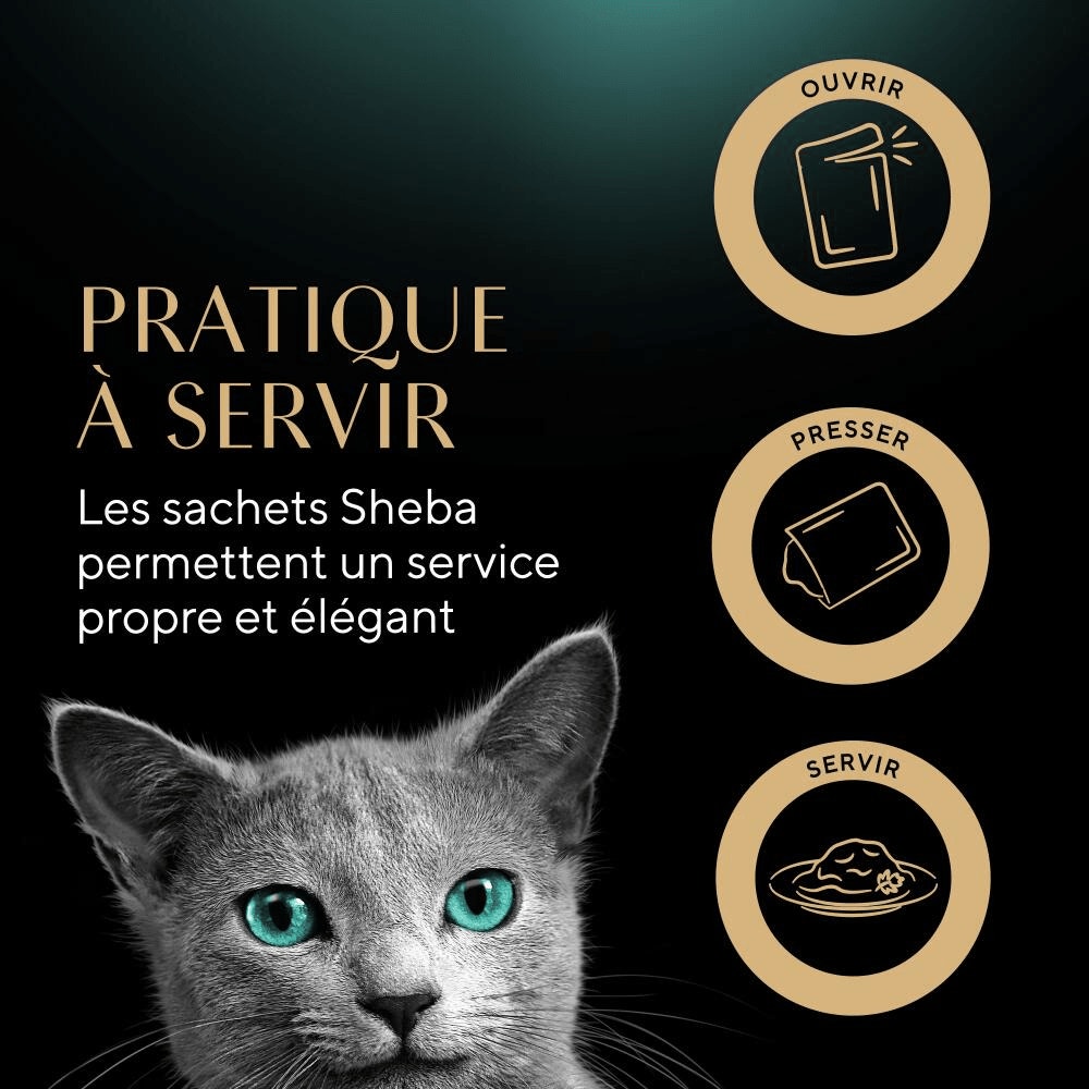 Volaille En Sauce 6 x 50g - Délices Du Jour - 5