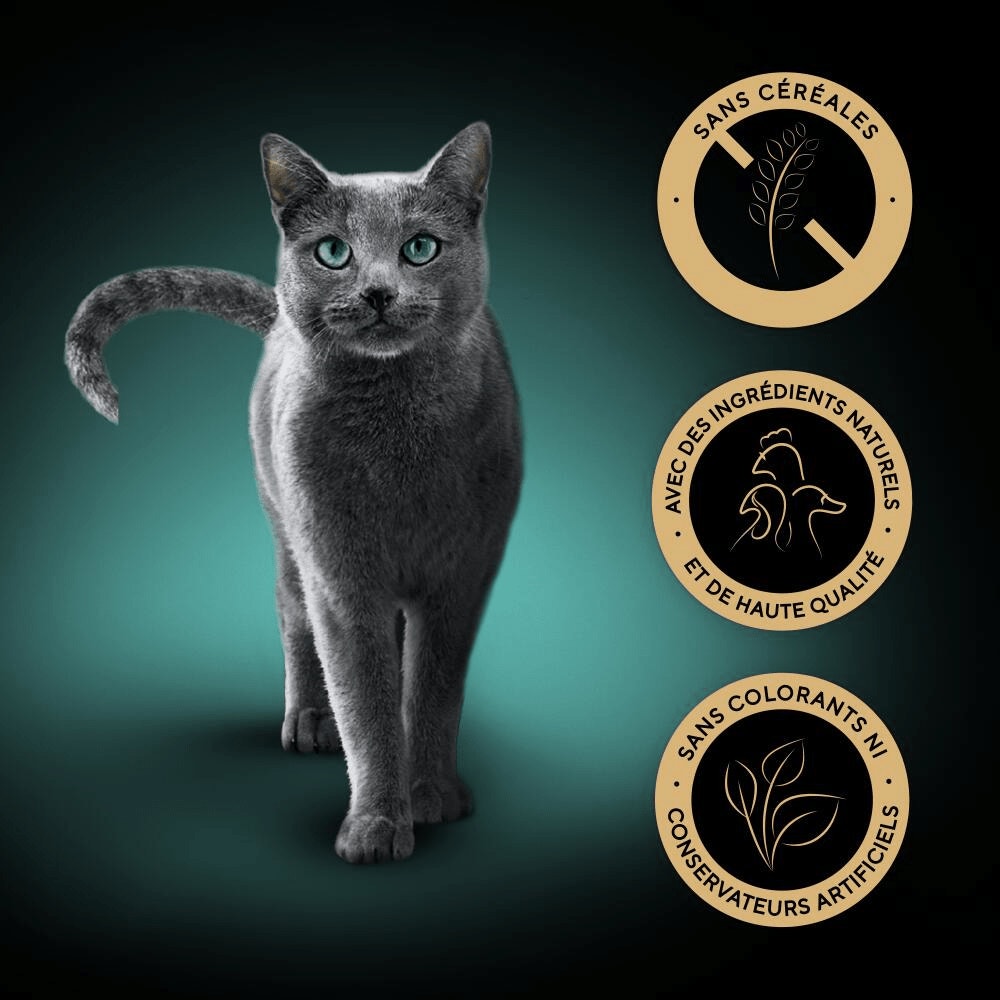 Sélection à la Volaille En Sauce 8 x 85g - Nature's Collection - 5