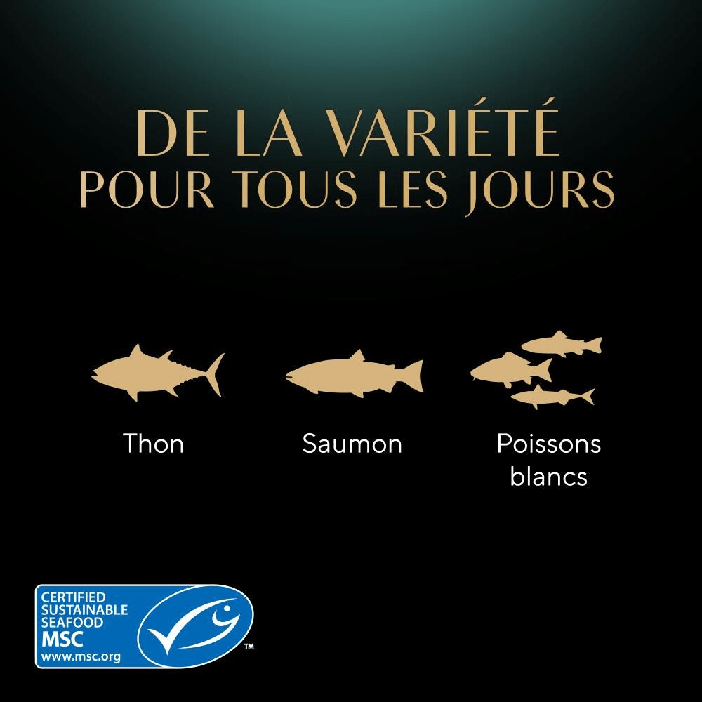 Sachets Fraîcheur Taste Of Tokyo 6 x 50g - Délices Gourmands - 4