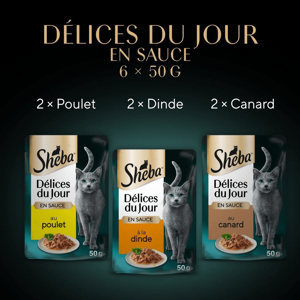 Volaille En Sauce 6 x 50g - Délices Du Jour - 3