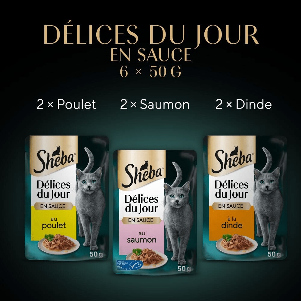 Terre & Mer En Sauce 6 x 50g - Délices Du Jour - 3