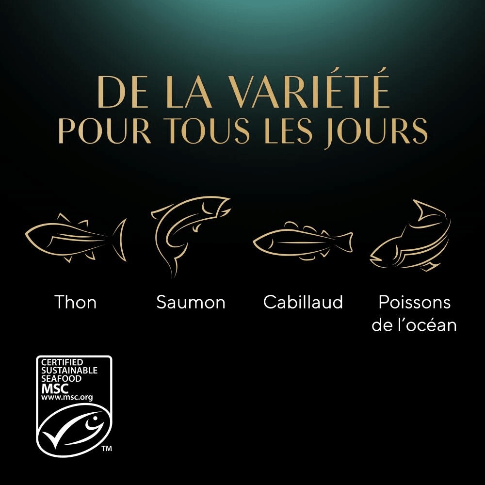 Sélection aux Poissons en sauce 4 variétés 12x85g - Nature's Collection - 4