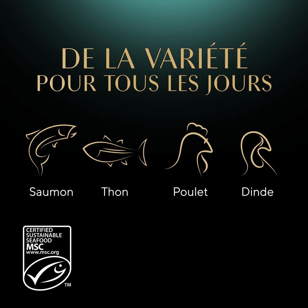 Sélection Mixte en sauce 4 variétés 4x85g - Nature's Collection - 4