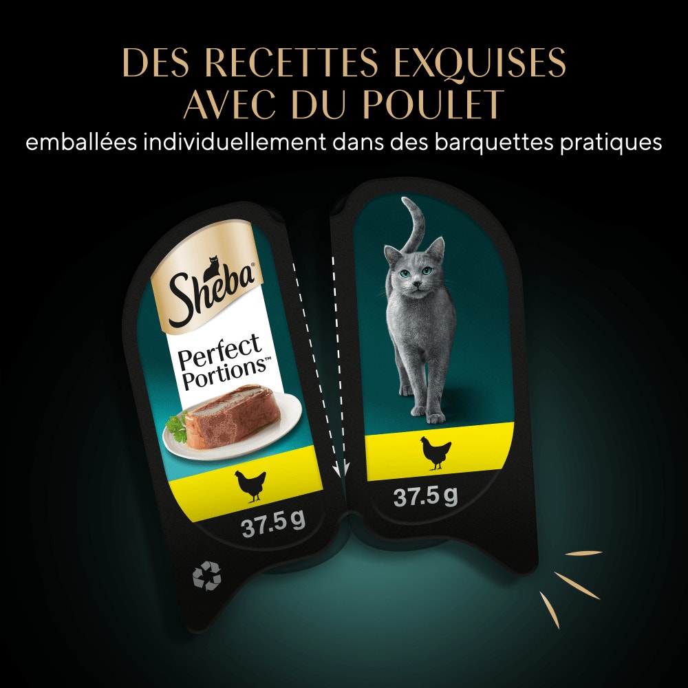 Poulet - PERFECT PORTIONS™ 6 x 37,5g - 3