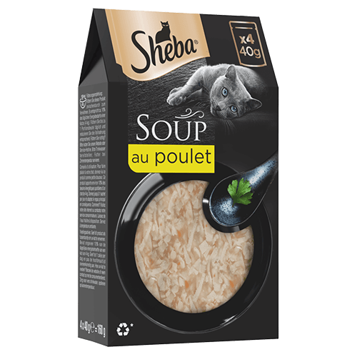 soup product