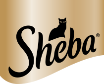 Sheba FR